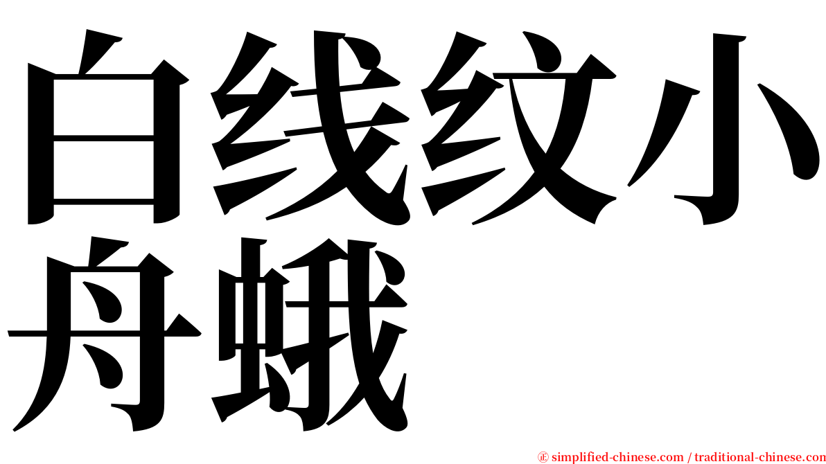 白线纹小舟蛾 serif font