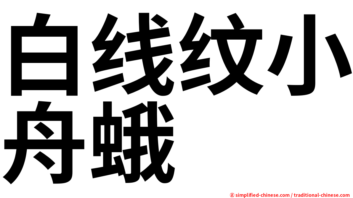 白线纹小舟蛾
