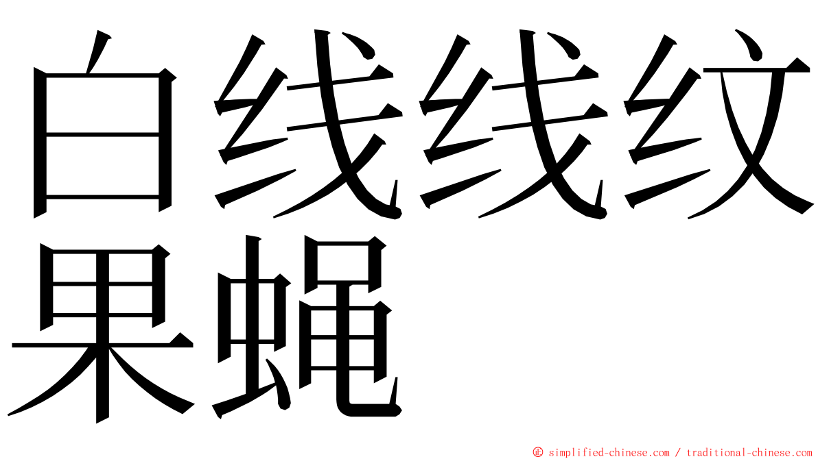 白线线纹果蝇 ming font