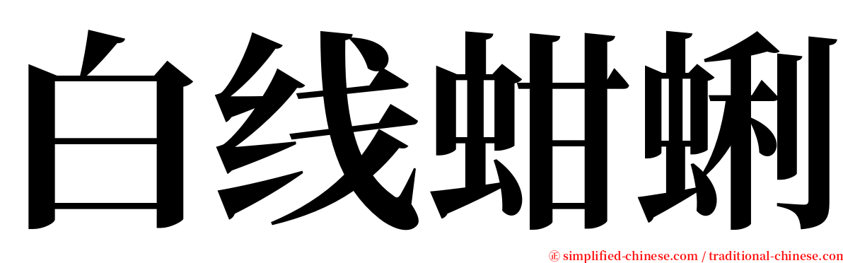 白线蚶蜊 serif font