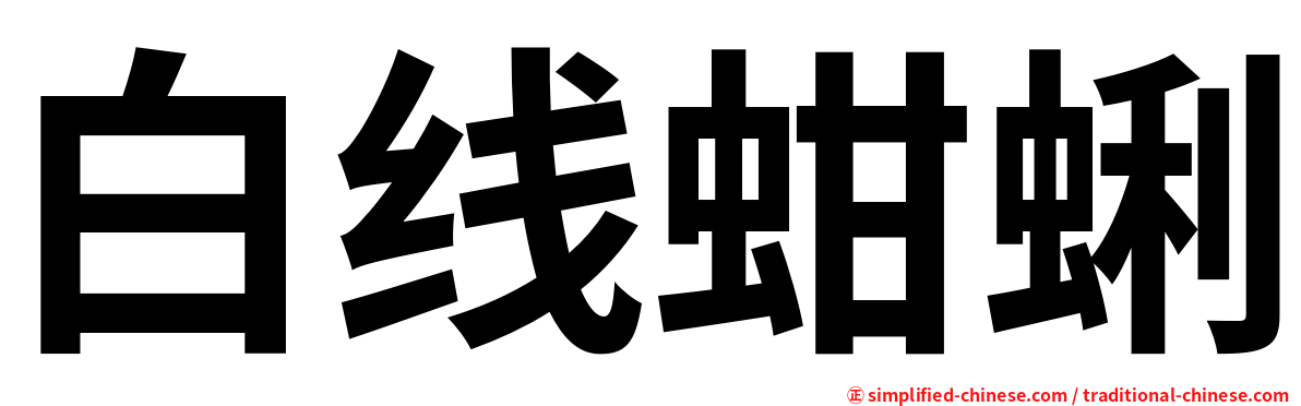 白线蚶蜊
