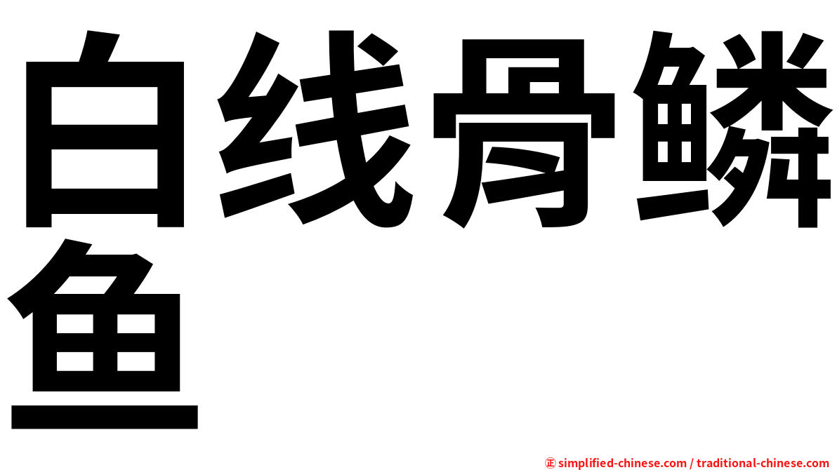 白线骨鳞鱼