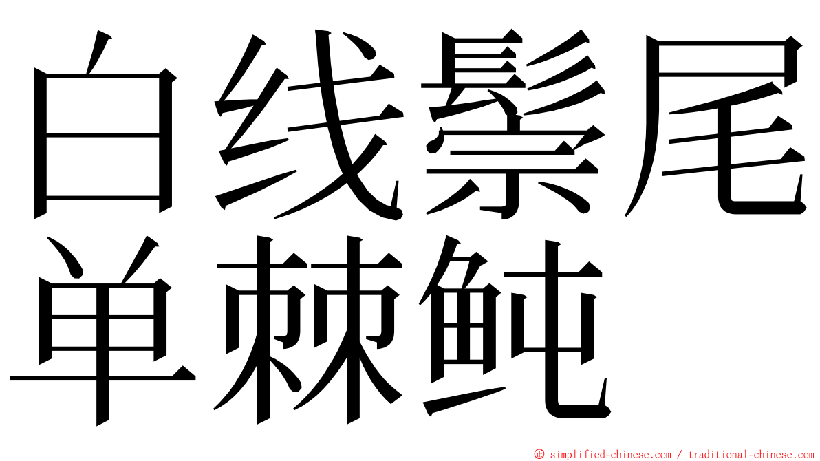白线鬃尾单棘鲀 ming font