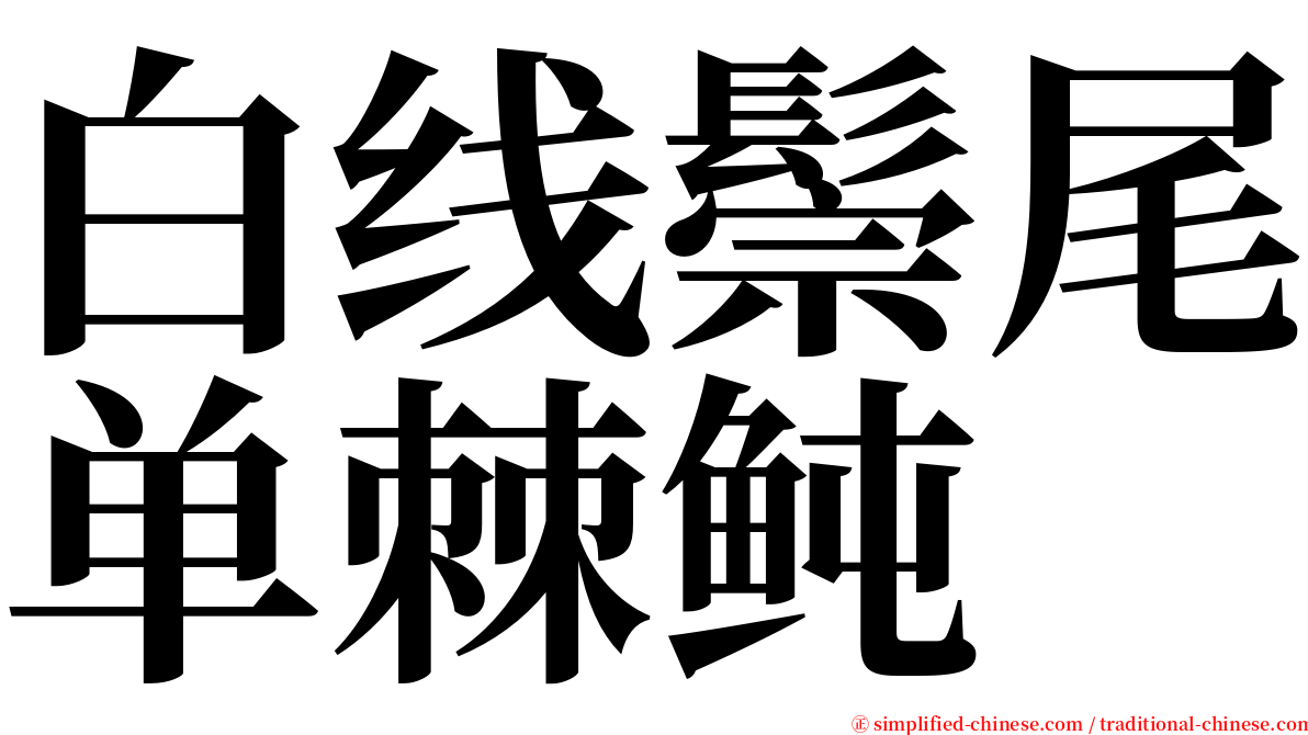 白线鬃尾单棘鲀 serif font