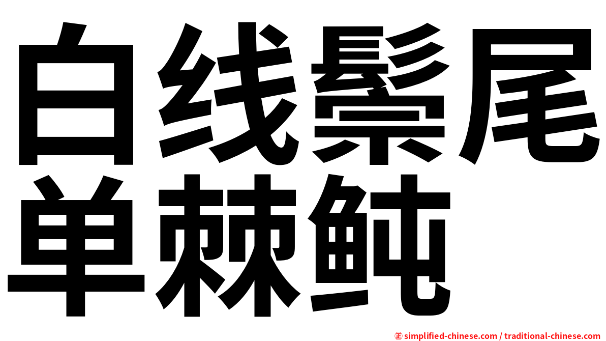 白线鬃尾单棘鲀