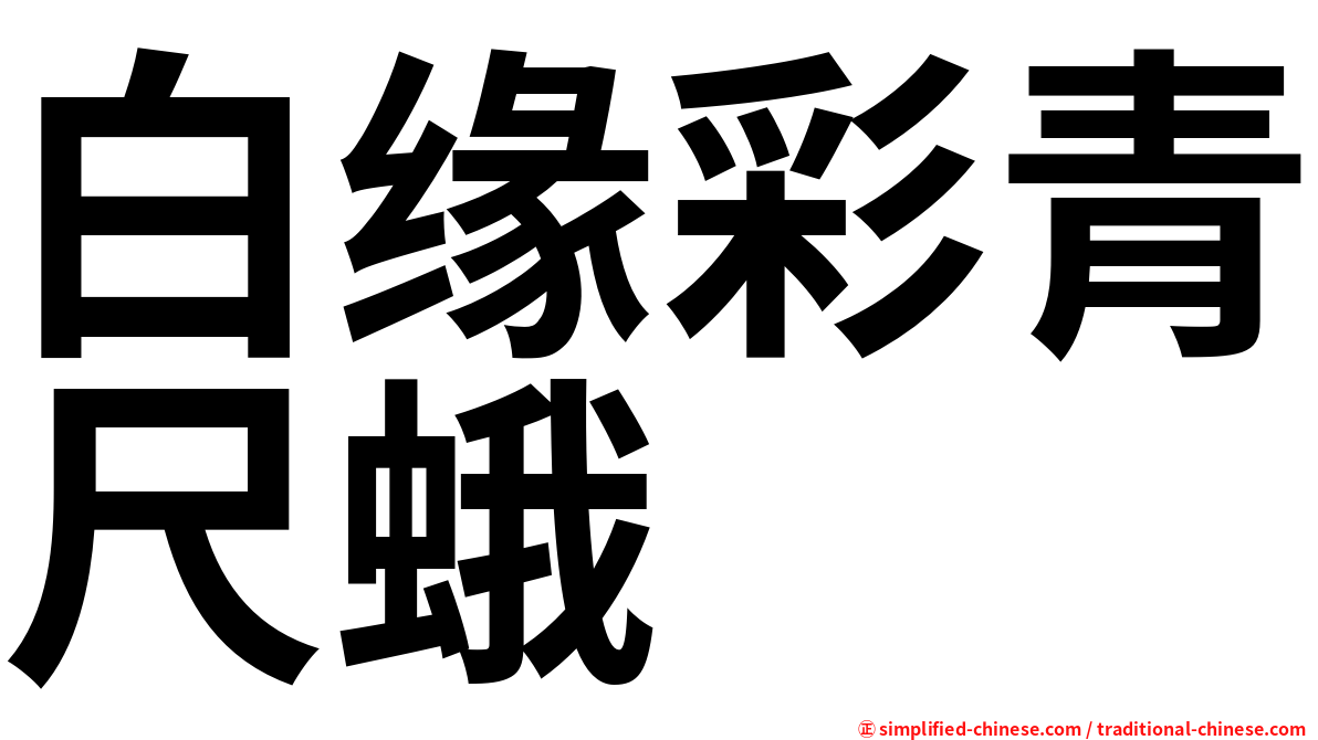 白缘彩青尺蛾