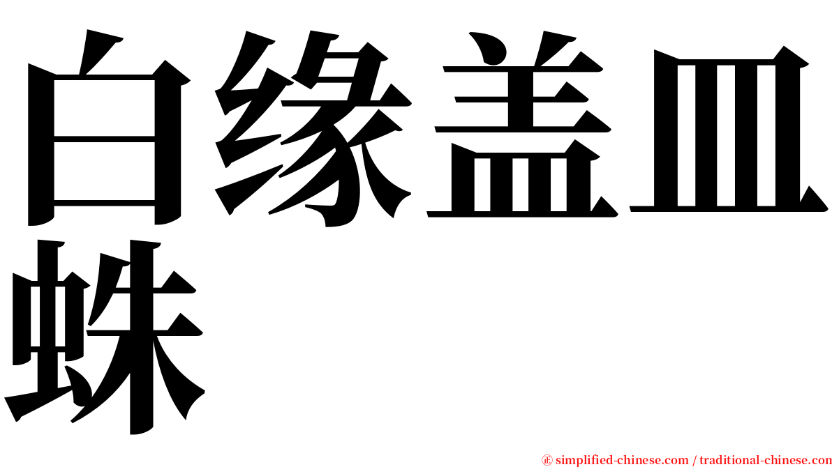 白缘盖皿蛛 serif font