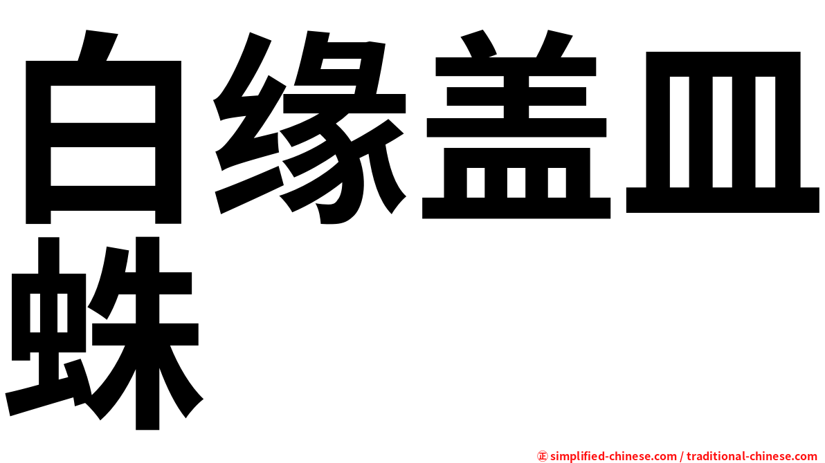 白缘盖皿蛛