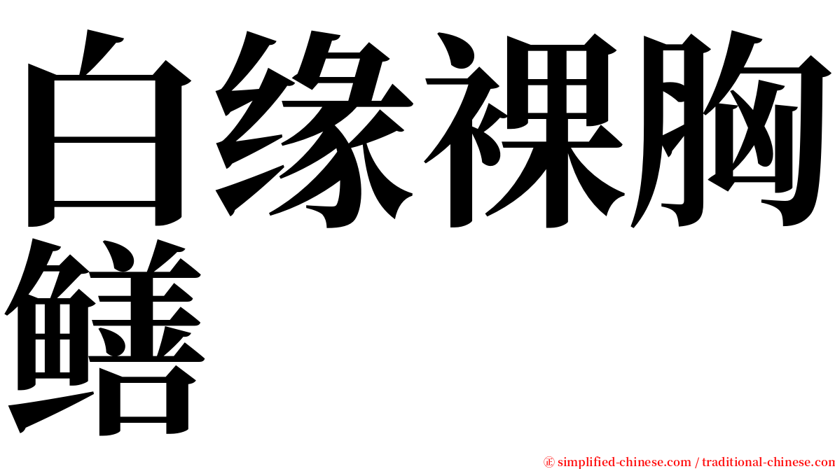 白缘裸胸鳝 serif font
