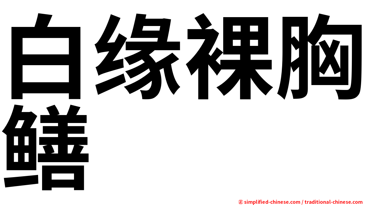 白缘裸胸鳝