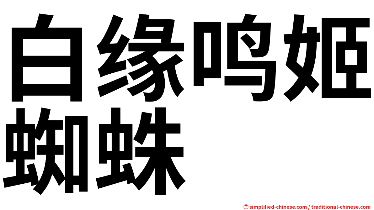 白缘鸣姬蜘蛛