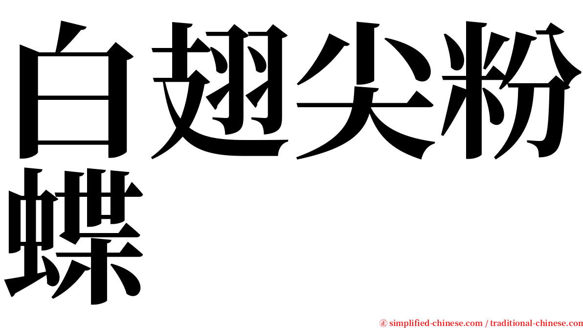 白翅尖粉蝶 serif font