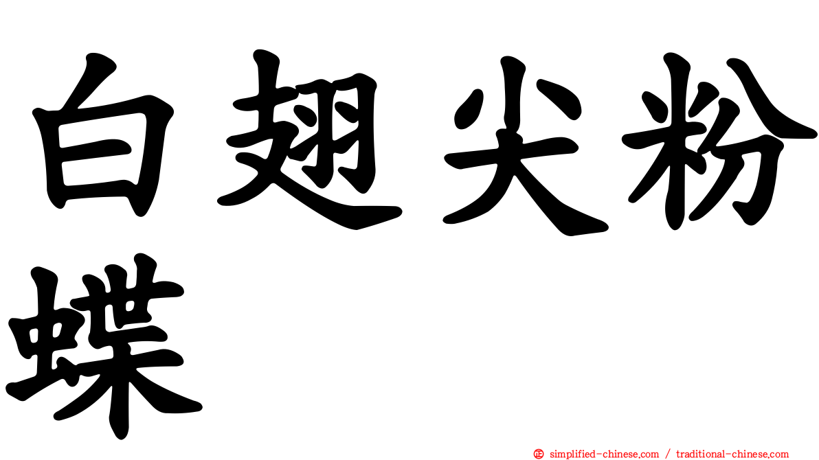 白翅尖粉蝶