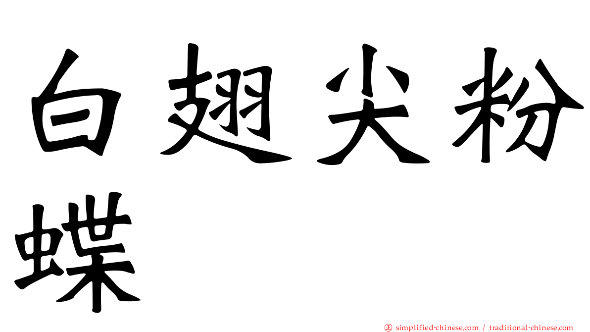 白翅尖粉蝶