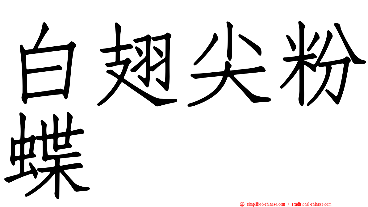 白翅尖粉蝶