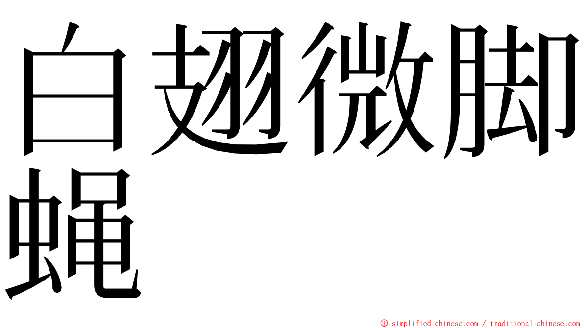 白翅微脚蝇 ming font