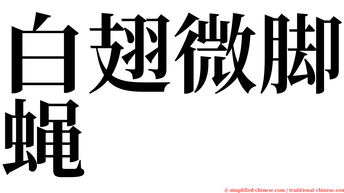 白翅微脚蝇 serif font