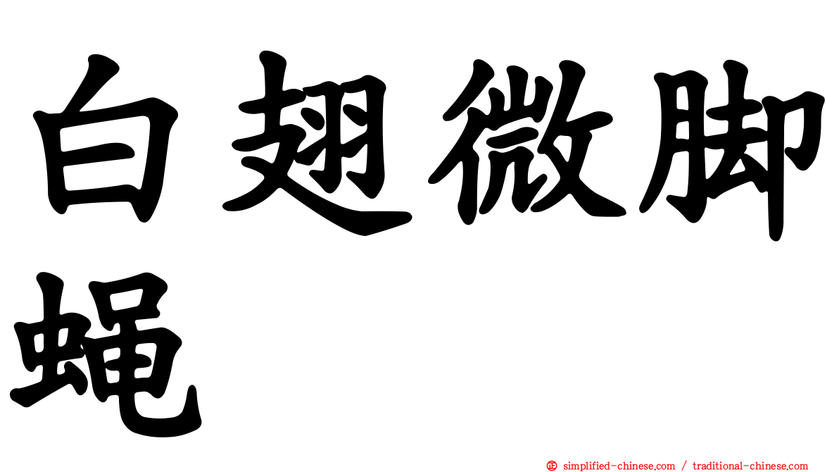 白翅微脚蝇