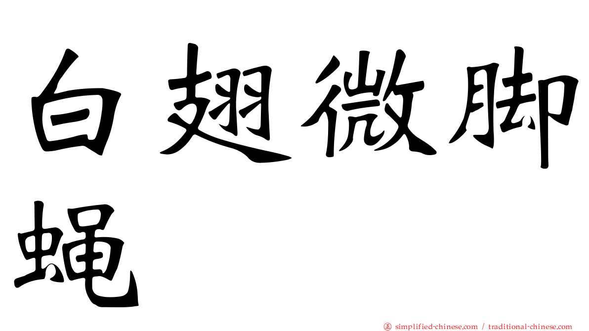 白翅微脚蝇