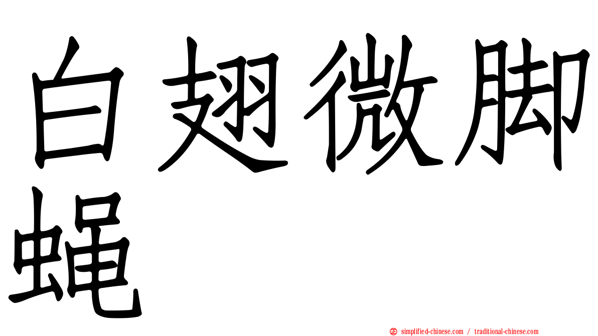 白翅微脚蝇