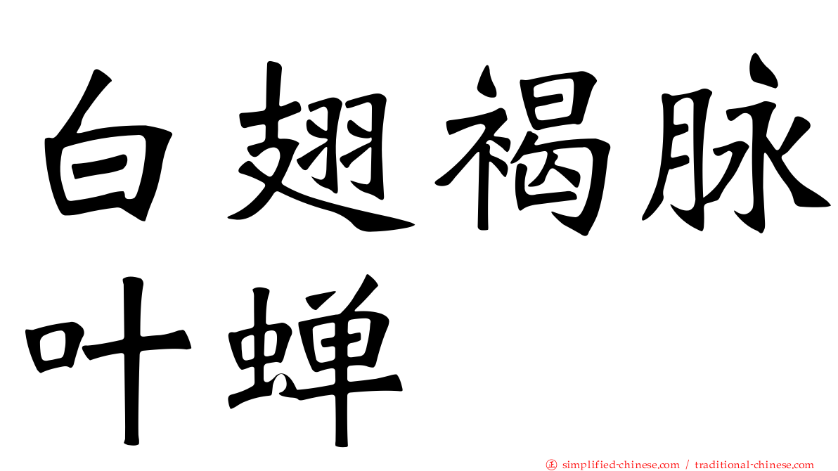 白翅褐脉叶蝉