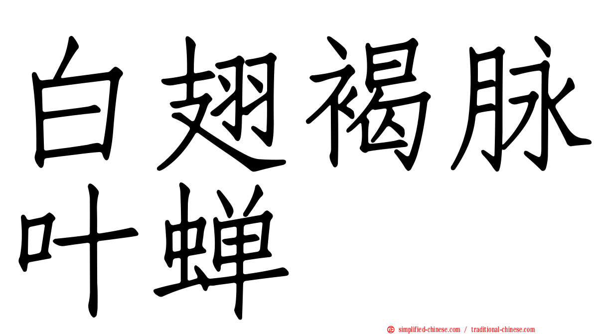 白翅褐脉叶蝉