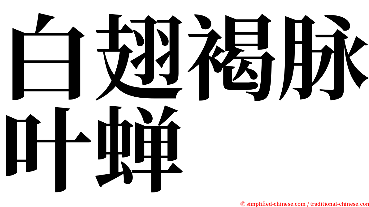 白翅褐脉叶蝉 serif font
