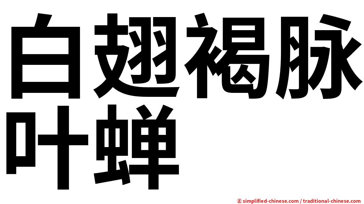 白翅褐脉叶蝉