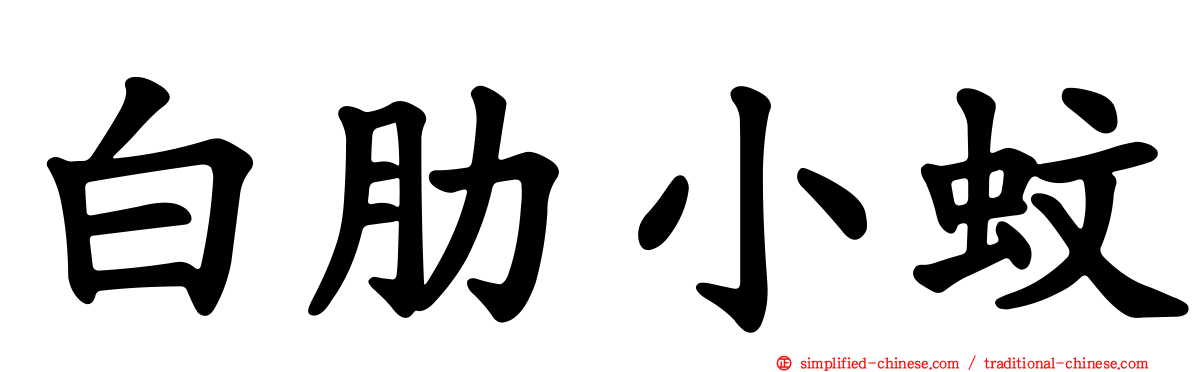 白肋小蚊