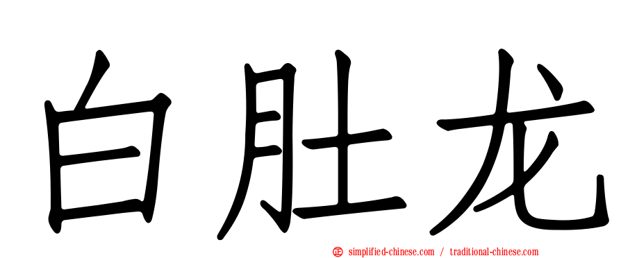 白肚龙