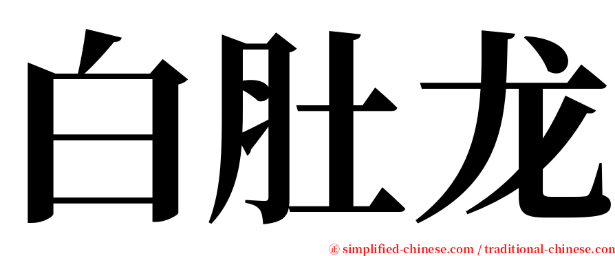 白肚龙 serif font