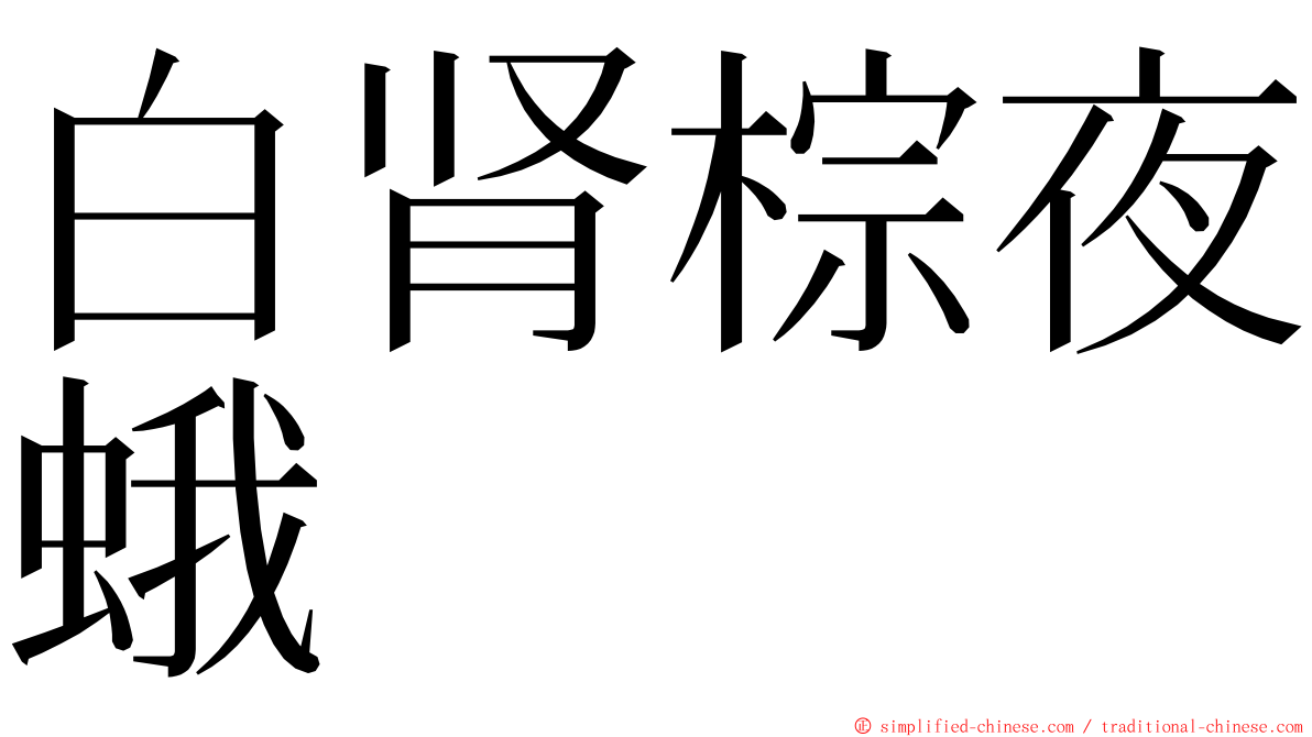 白肾棕夜蛾 ming font