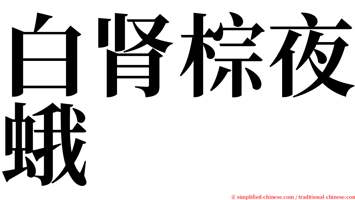 白肾棕夜蛾 serif font