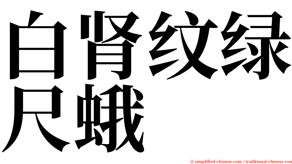 白肾纹绿尺蛾 serif font
