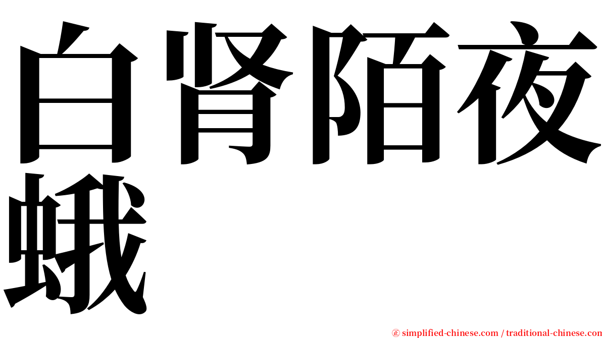 白肾陌夜蛾 serif font