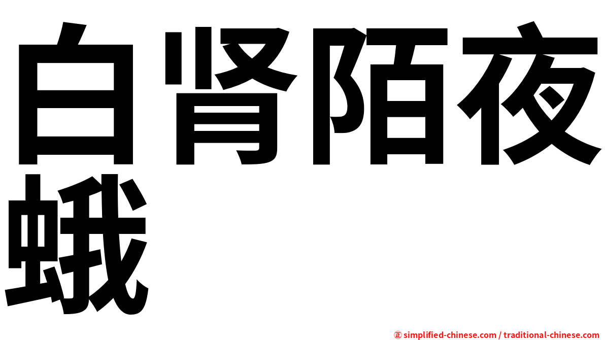 白肾陌夜蛾