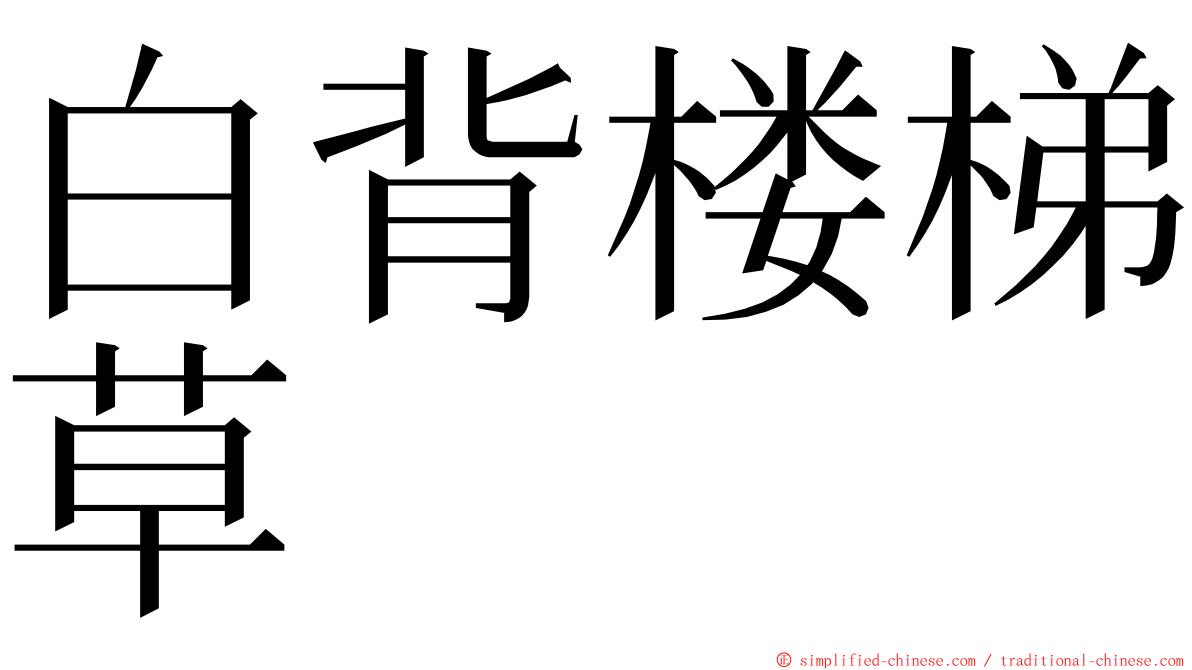 白背楼梯草 ming font