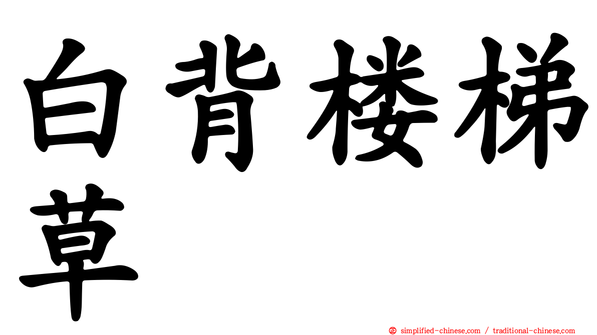 白背楼梯草