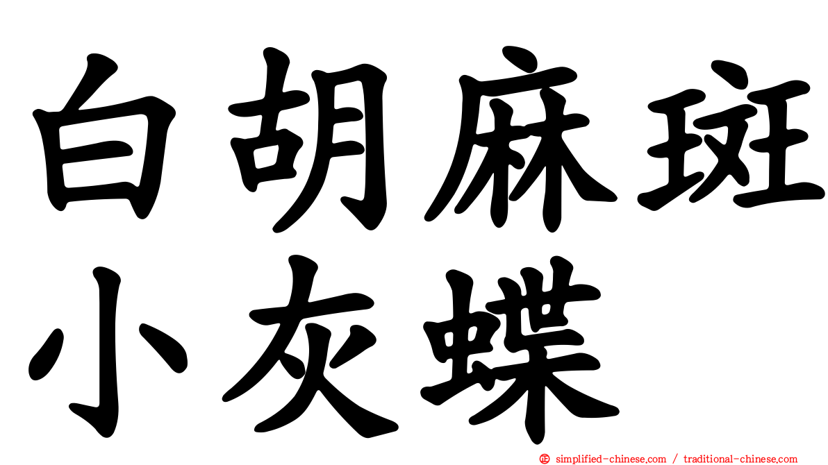 白胡麻斑小灰蝶