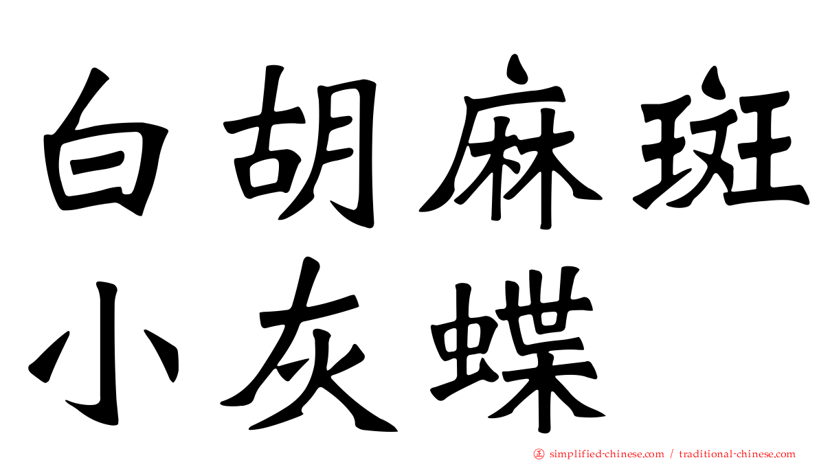 白胡麻斑小灰蝶
