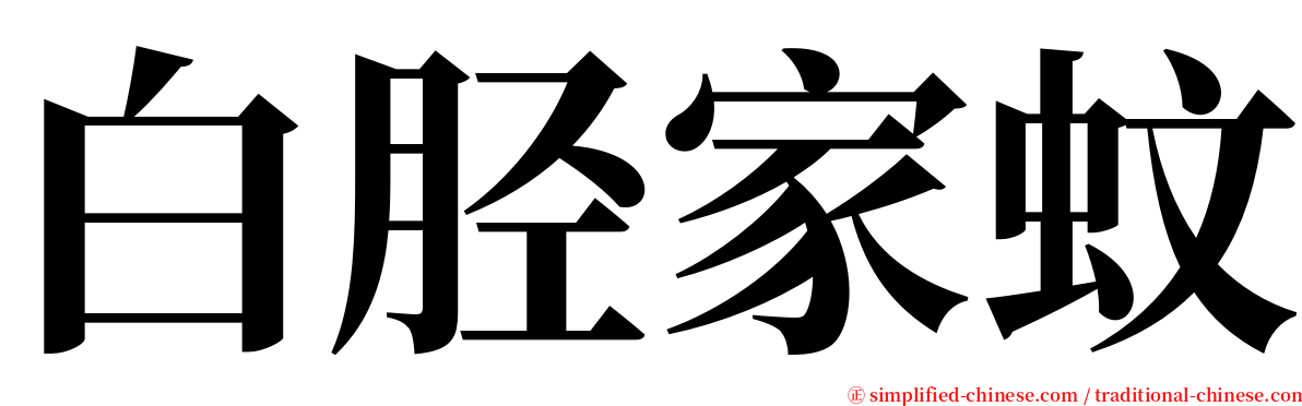 白胫家蚊 serif font