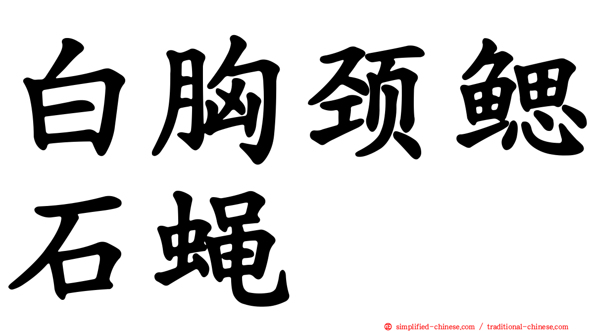 白胸颈鳃石蝇