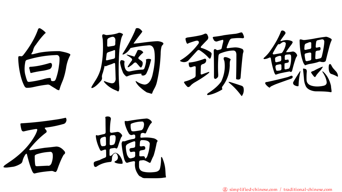 白胸颈鳃石蝇