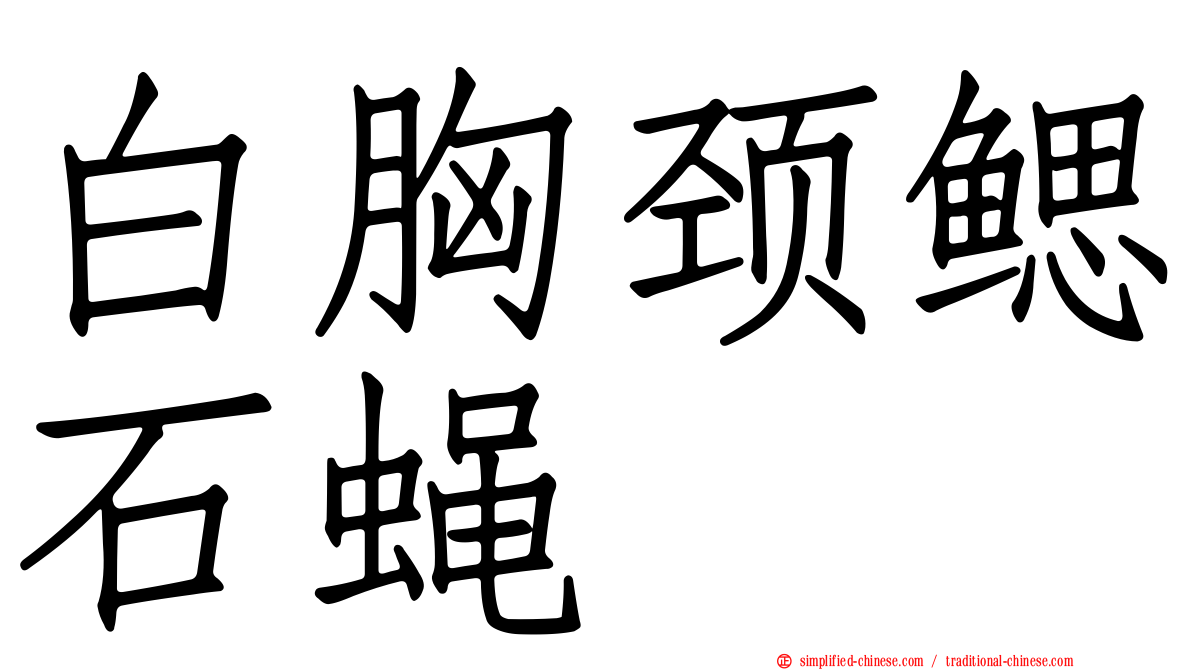 白胸颈鳃石蝇