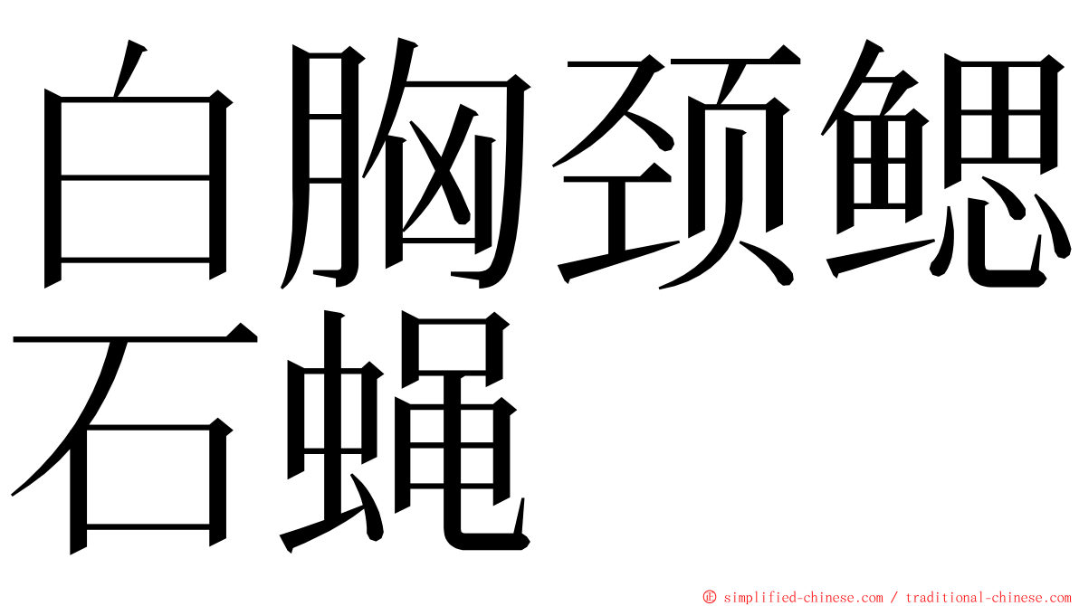白胸颈鳃石蝇 ming font