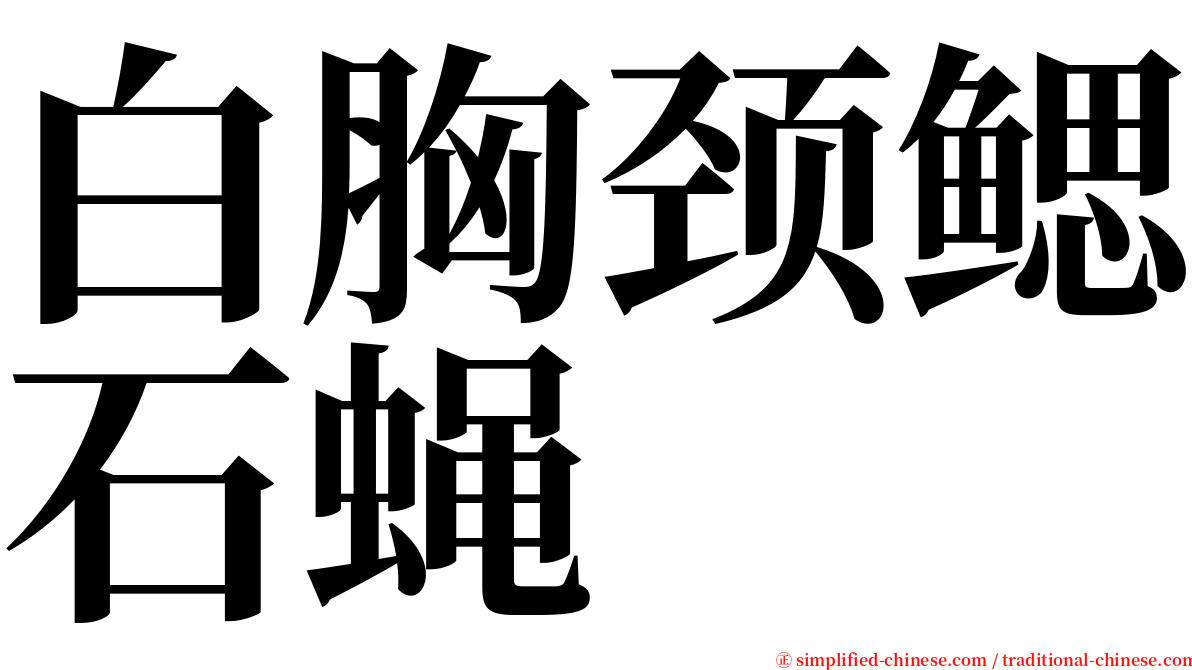 白胸颈鳃石蝇 serif font