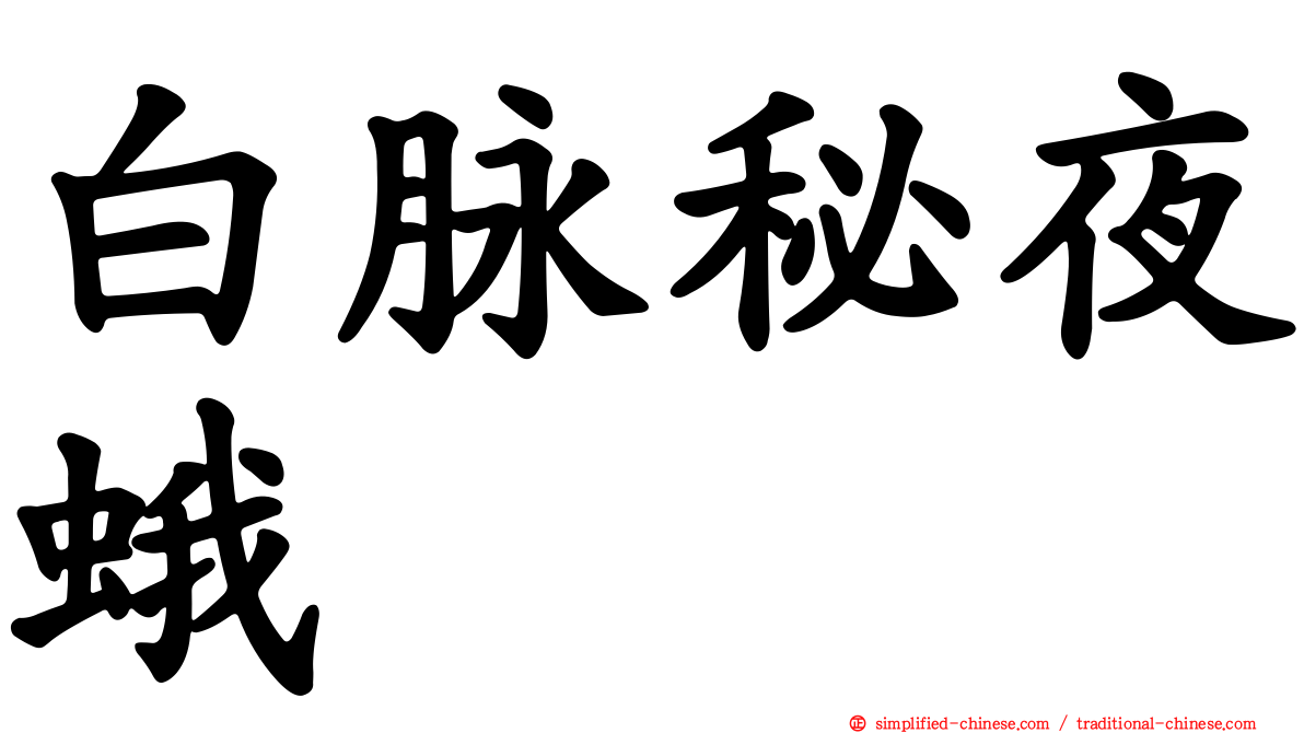 白脉秘夜蛾