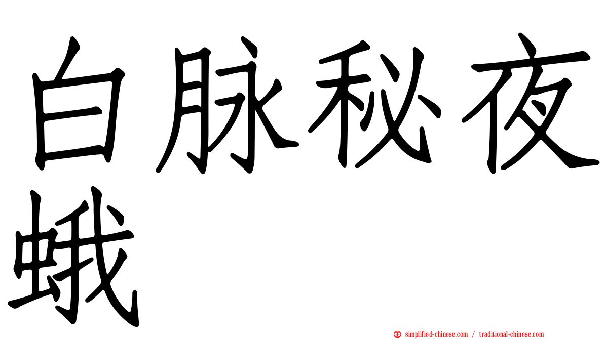 白脉秘夜蛾