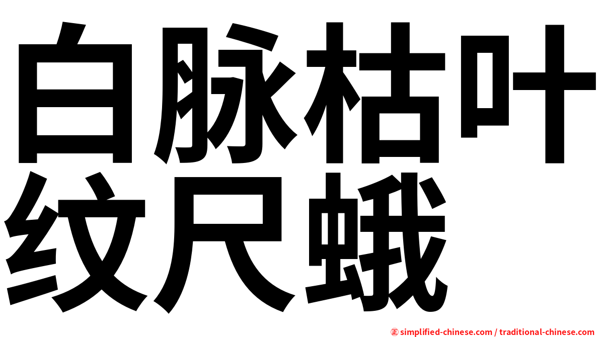 白脉枯叶纹尺蛾