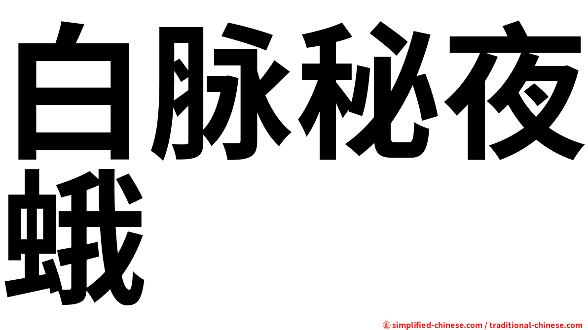 白脉秘夜蛾